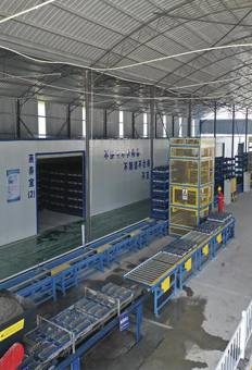 全自動預製件生產線設備/預製件整廠（chǎng）自動化生產線